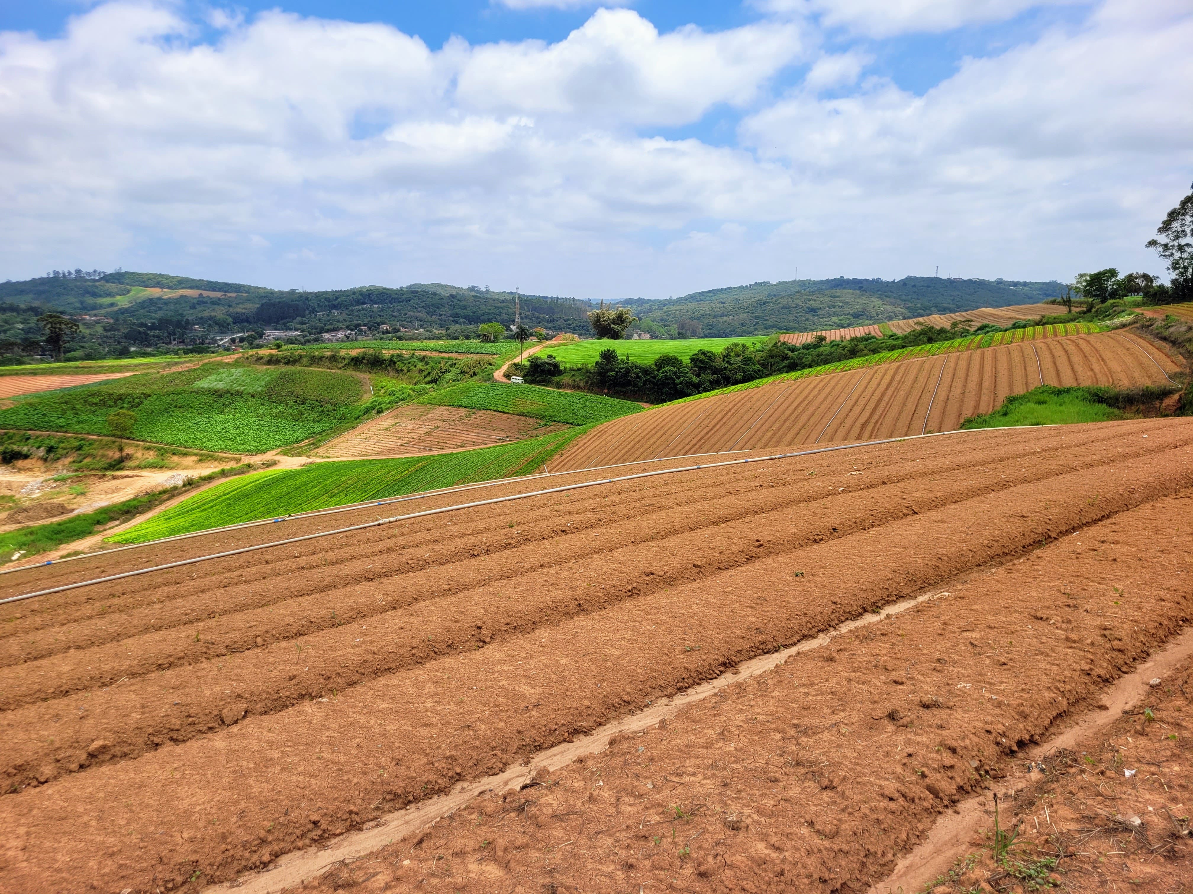 sustentabilidade